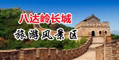 特级欧美AAAA片中国北京-八达岭长城旅游风景区